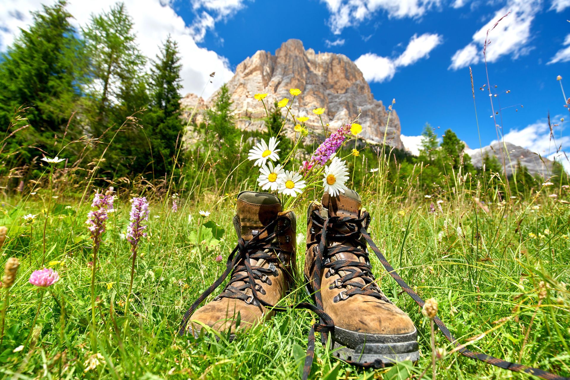 Pause bei der Bergwanderung, Wanderstiefel mit Blumen