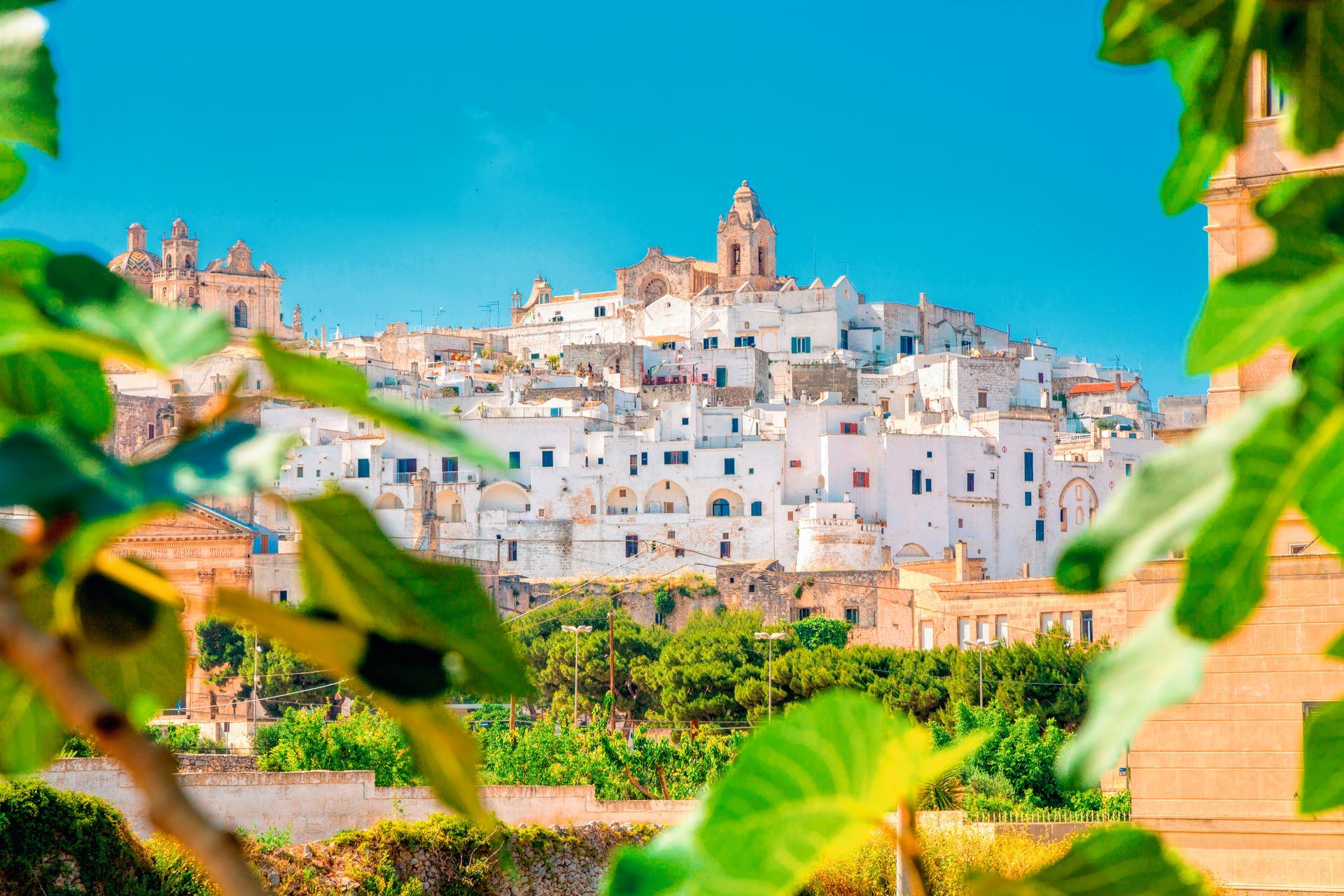 Panoramic view of Ostuni (white town), province of Brindisi, Apulia, southern Italy.