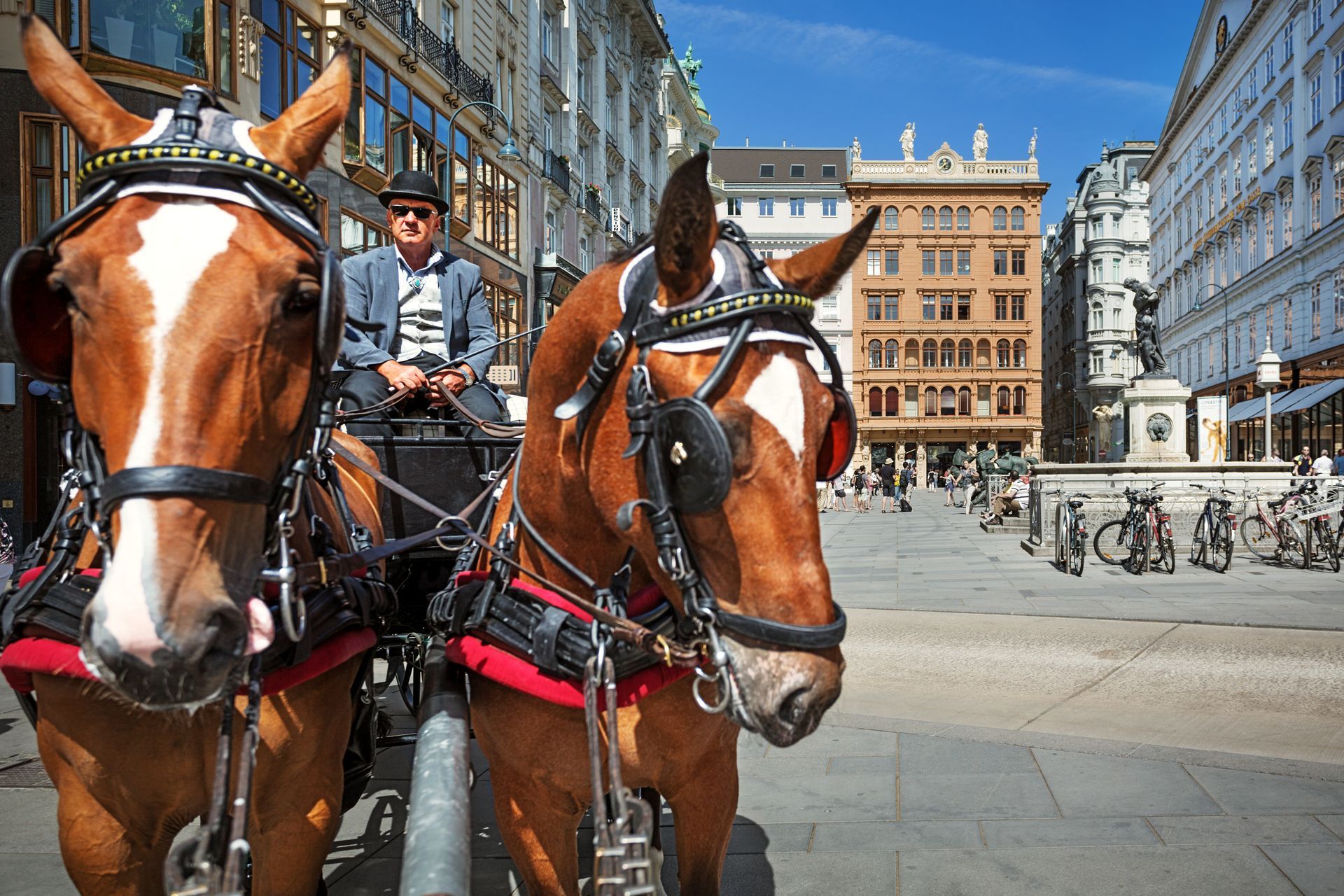 Vienna, Graben, fiaker ride